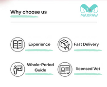 Charger l'image dans la visionneuse de galerie, Offre groupée pour usage vétérinaire et grossiste-Traitement par comprimés oraux FIP 50 mg