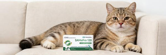 SAMePro 120 — The World’s First Liver Support Tablet Made Specifically for FIP Cats