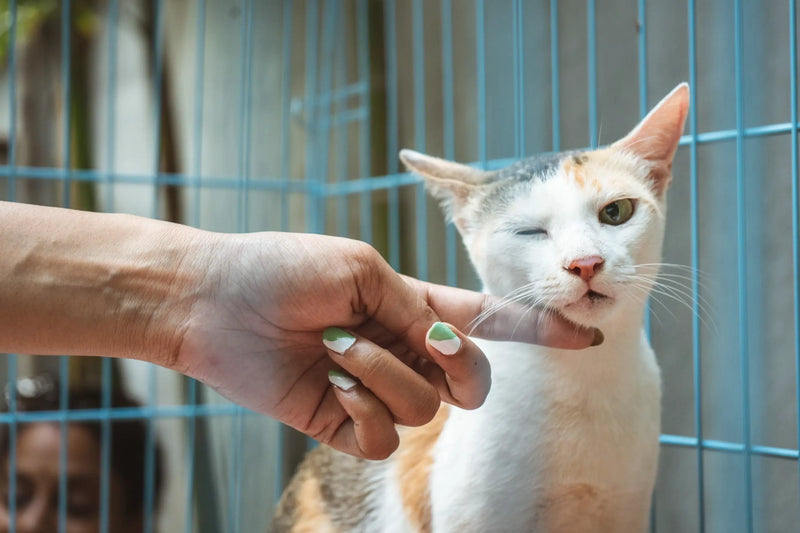 FIP Treatment Costs Unmasked: How to Avoid Hidden Fees & Relapse Expenses