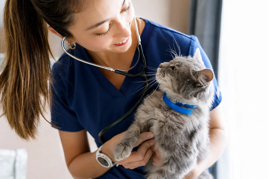 Is FIP Fatal? Why Early Detection &amp; Targeted Defense Are Changing Everything for Cat Parents