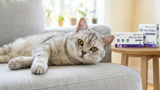 The Science of GS-441524: Maximizing Bioavailability in FIP Treatment