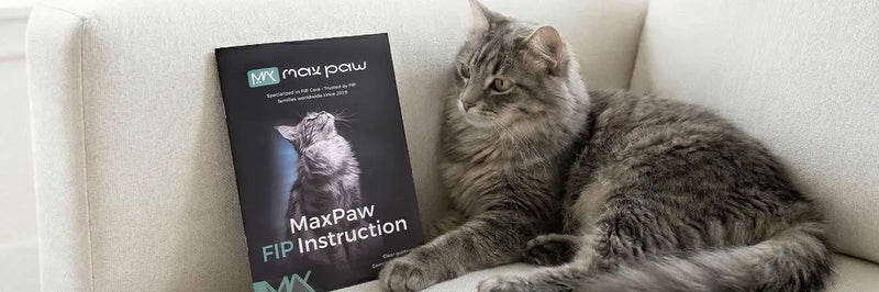 Why 17,000+ FIP Parents Choose MaxPaw