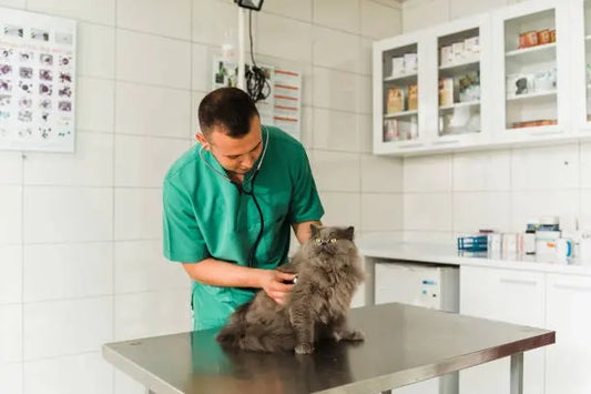 How to Treat FIP: Timeline, Dosage Calculator, and Cost Breakdown