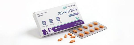 Maxpaw New Upgraded Small-Size GS-441524 Tablets: Making the Fight Against FIP Easier for Every Cat