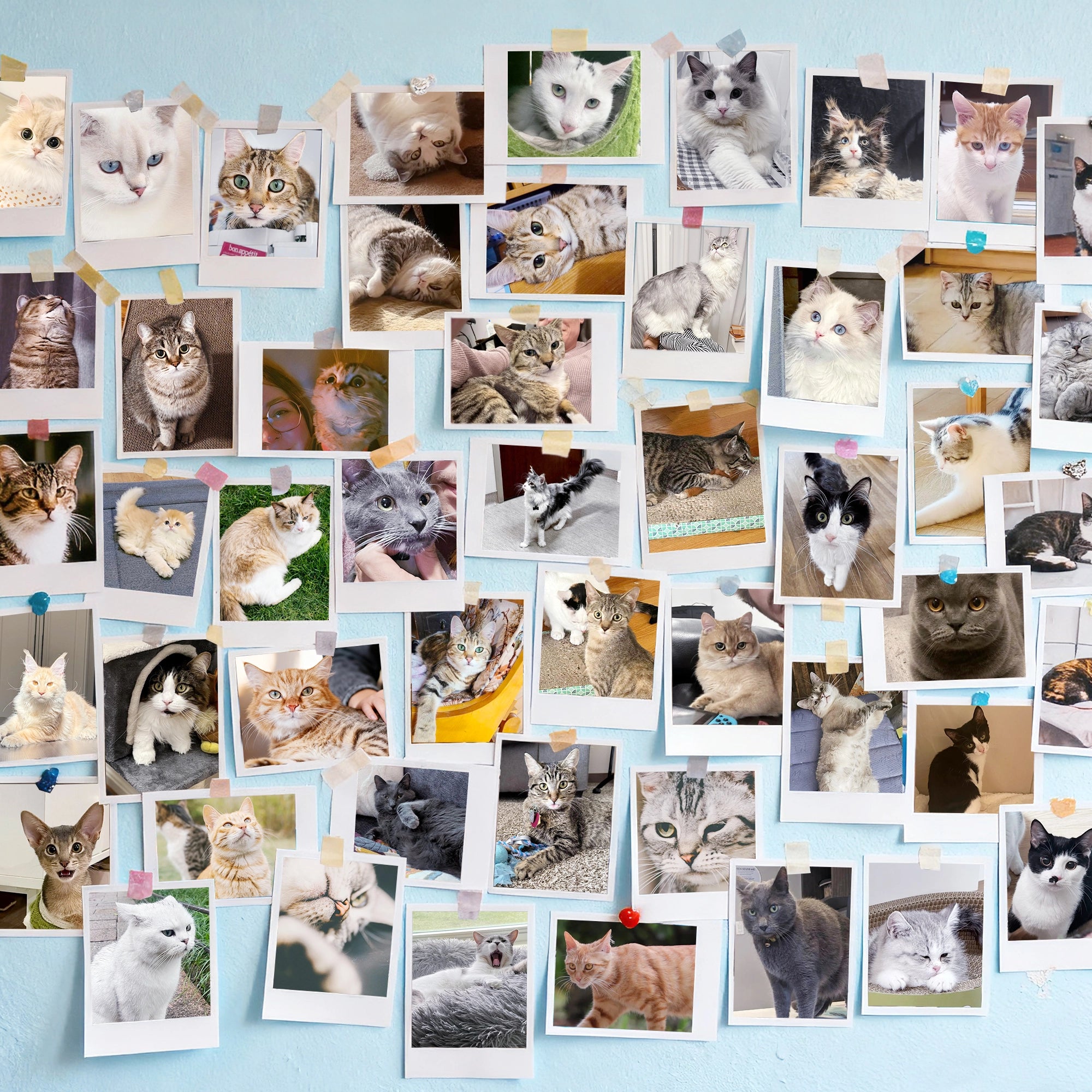 20251114-132051.webp__PID:085d47e2-6cb7-4b27-b9d8-9d71952e3732