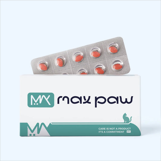 MaxPaw cat supplement packaging with tablets, highlighting an effective oral treatment formula for feline stomatitis and chronic gum inflammation.