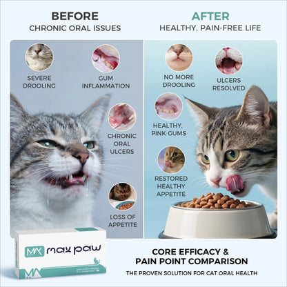 StomaHeal - Terapia antiviral para la estomatitis felina