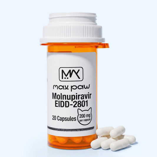 Molnupiravir EIDD-2801 200 mg antiviral capsules for feline FIP and FCV support