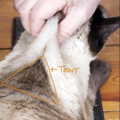 FIP Treatment Injection