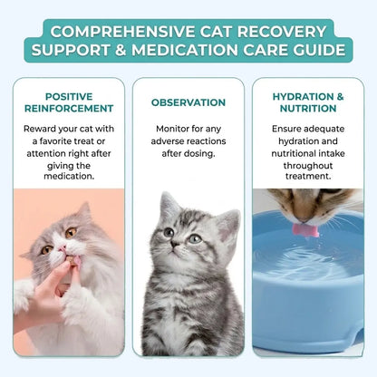 50mg Oral Tablet $0.24/mg