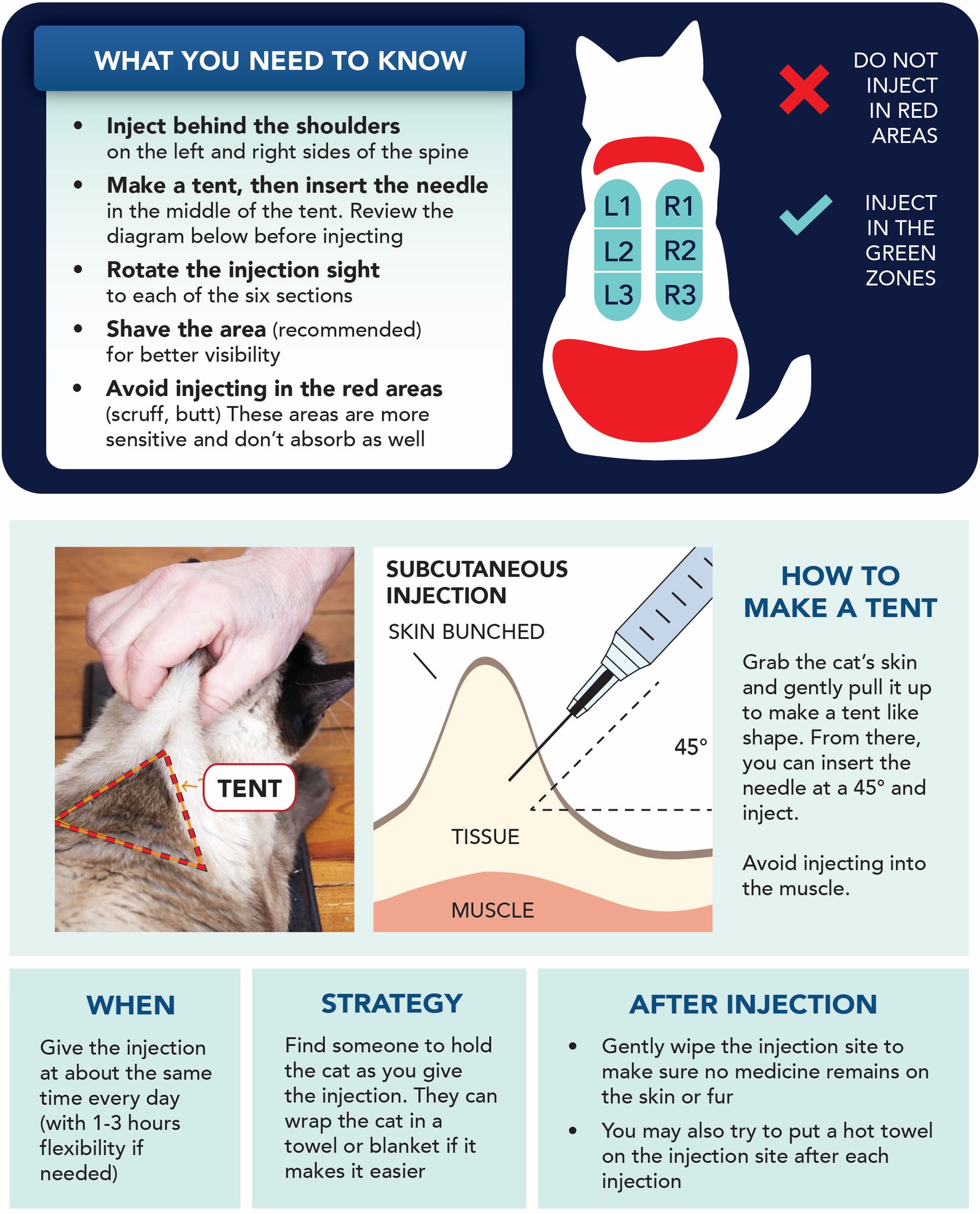 FIP Treatment Injection – MaxPaw