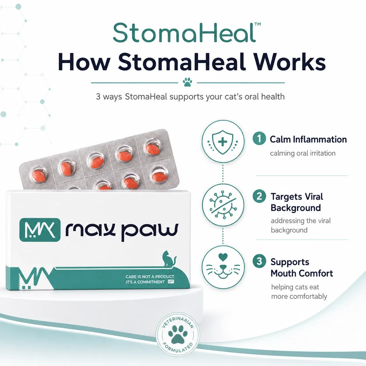 How StomaHeal works for feline stomatitis support
