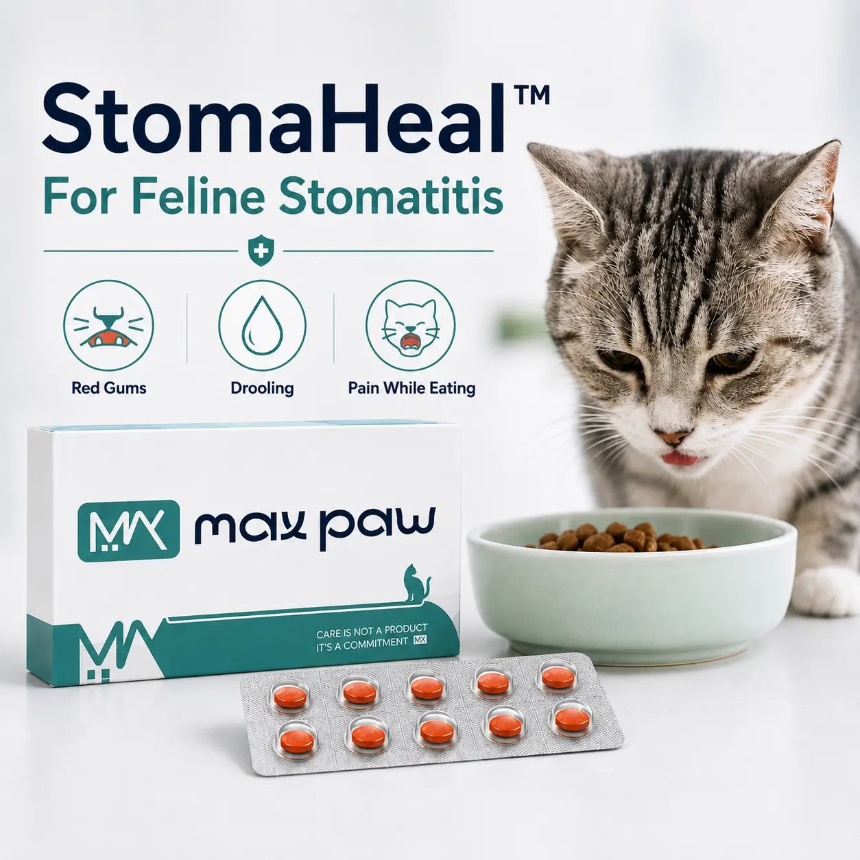 MaxPaw StomaHeal antiviral therapy for feline stomatitis