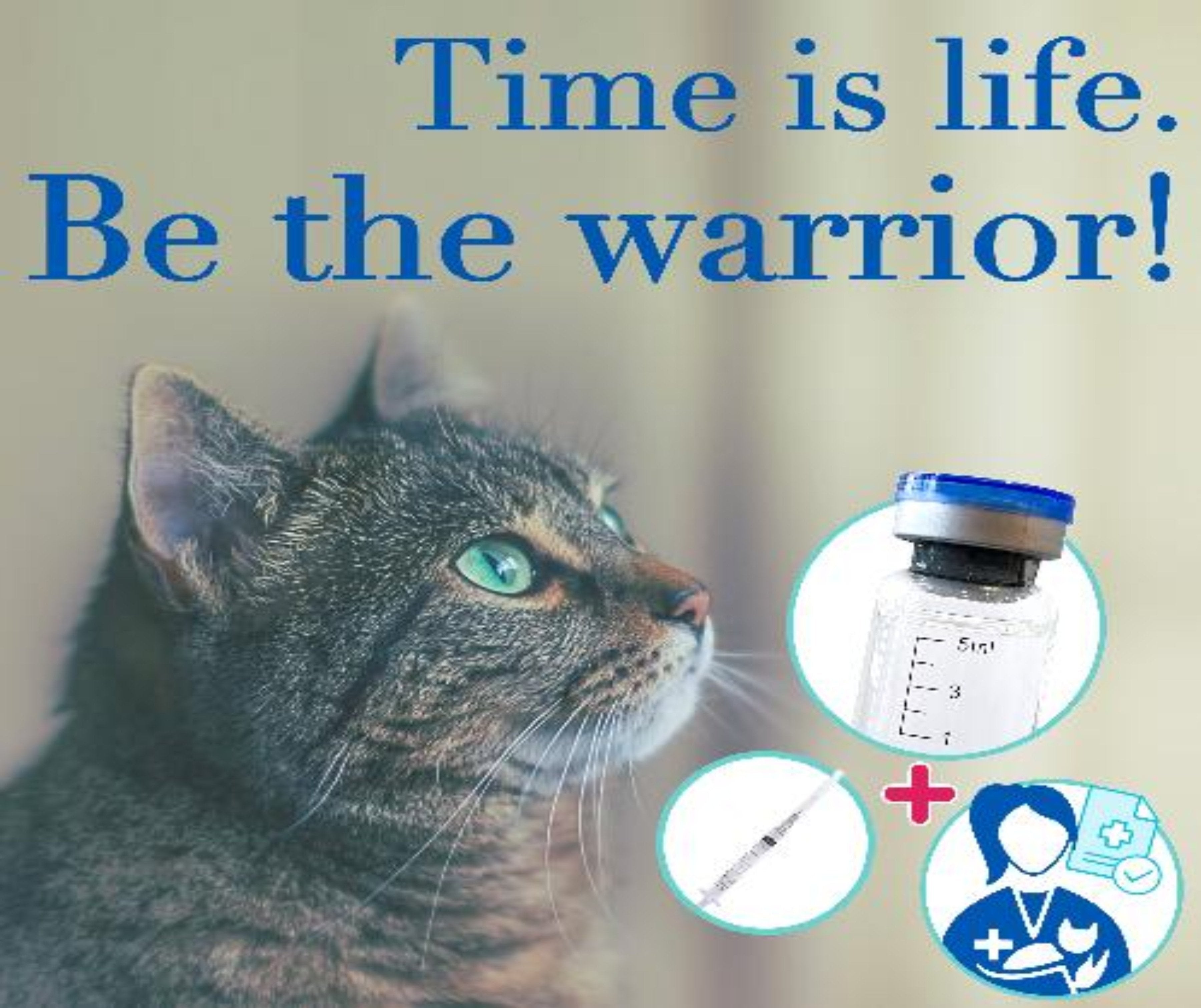 FIP Treatment Local Pickup Service